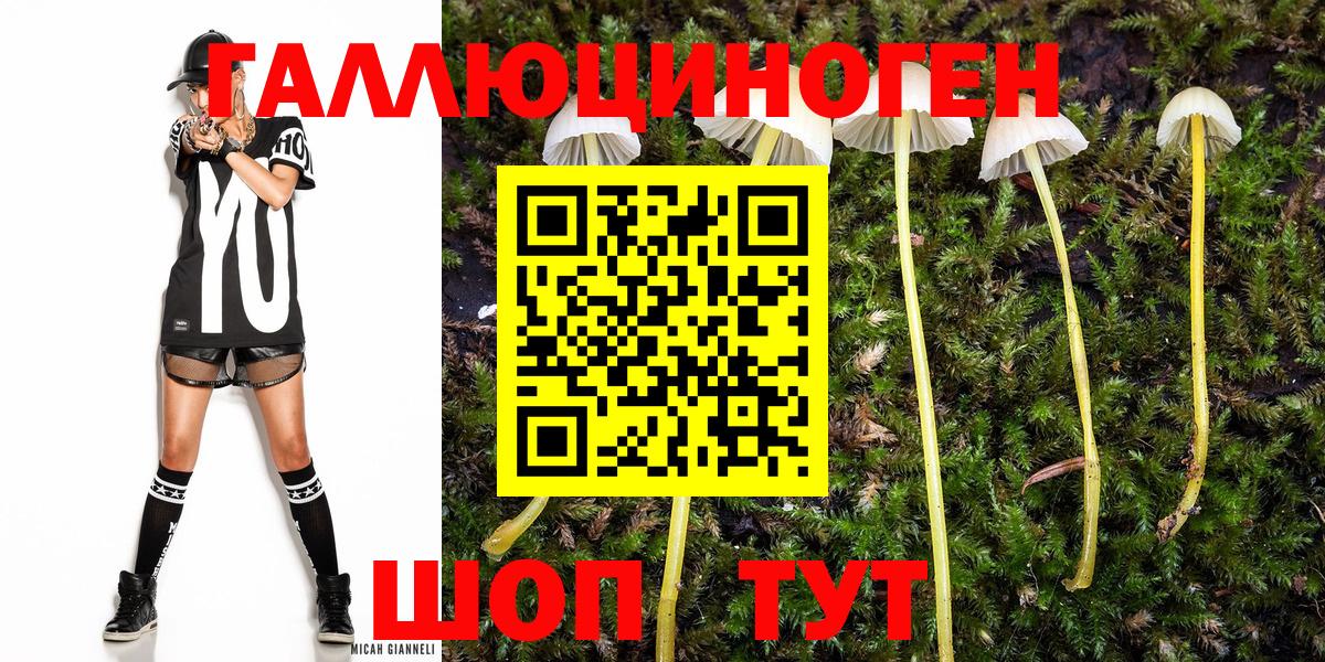 Белорецк  Галлюциногенные грибы Psilocybine cubensis  даркнет сайт  Вход с VPN 